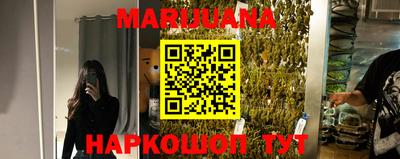 шишки Лесосибирск