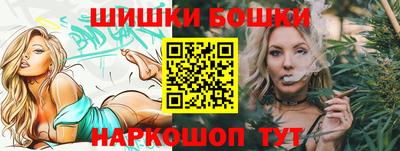 шишки Лесосибирск