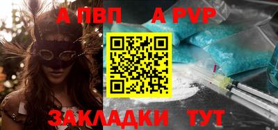 шишки Лесосибирск