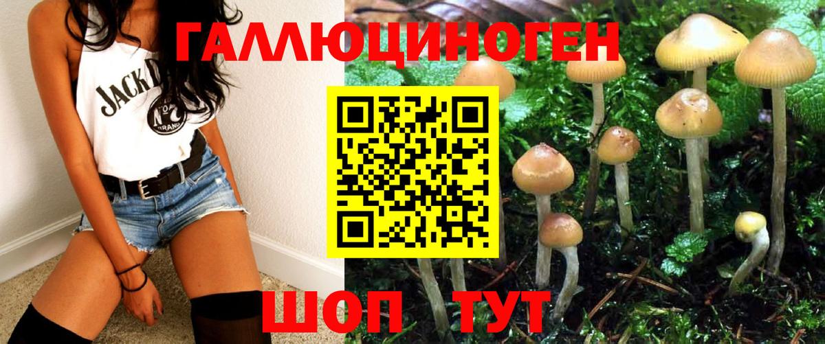 Псилоцибиновые грибы мухоморы  хочу наркоту  Галлюциногенные грибы Psilocybine cubensis  Топки  Вход с VPN 