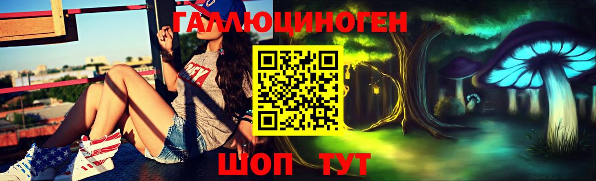 Псилоцибиновые грибы мицелий Топки